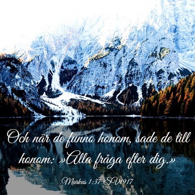 Picture 03 - Markus 1:37 SV1917 - Och när de funno honom, sade de till honom: - Bible Verse Picture