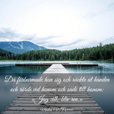 Picture 03 - Markus 1:41 SV1917 - Då förbarmade han sig och räckte ut handen och - Bible Verse Picture