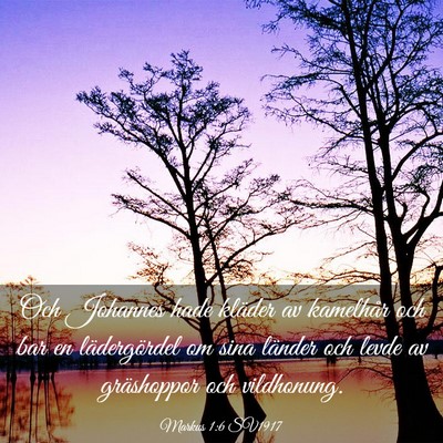 Picture 03 - Markus 1:6 SV1917 - Och Johannes hade kläder av kamelhår och bar en - Bible Verse Picture