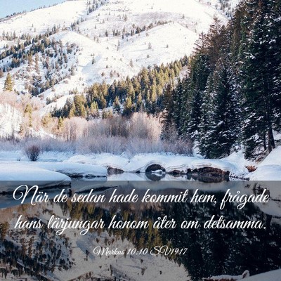 Picture 03 - Markus 10:10 SV1917 - När de sedan hade kommit hem, frågade hans - Bible Verse Picture