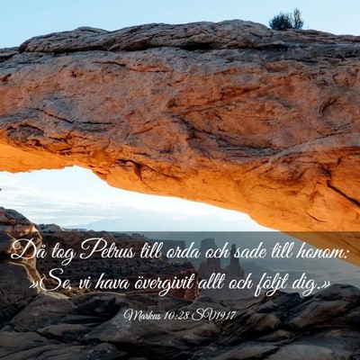 Picture 03 - Markus 10:28 SV1917 - Då tog Petrus till orda och sade till honom: - Bible Verse Picture