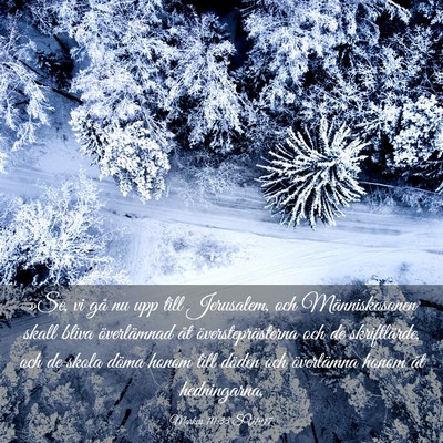 Picture 03 - Markus 10:33 SV1917 - »Se, vi gå nu upp till Jerusalem, och - Bible Verse Picture
