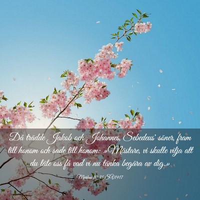 Picture 03 - Markus 10:35 SV1917 - Då trädde Jakob och Johannes, Sebedeus' söner, - Bible Verse Picture