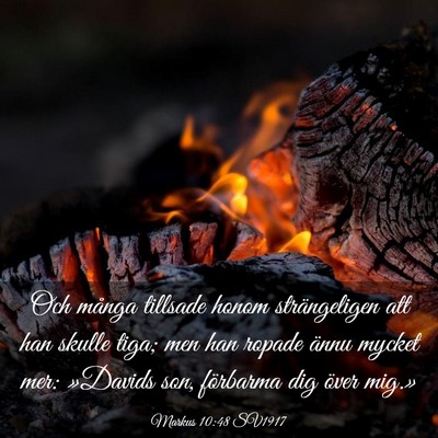 Picture 03 - Markus 10:48 SV1917 - Och många tillsade honom strängeligen att han - Bible Verse Picture
