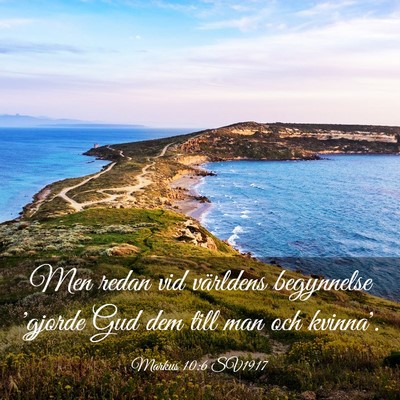 Picture 03 - Markus 10:6 SV1917 - Men redan vid världens begynnelse 'gjorde Gud - Bible Verse Picture