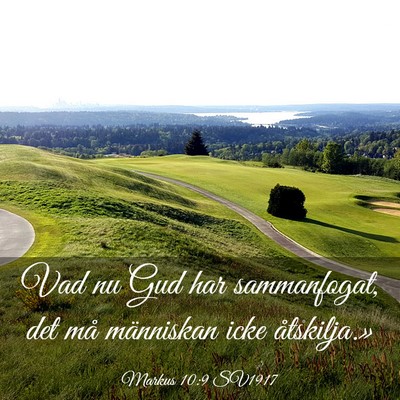Picture 03 - Markus 10:9 SV1917 - Vad nu Gud har sammanfogat, det må människan - Bible Verse Picture