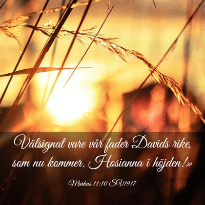 Picture 03 - Markus 11:10 SV1917 - Välsignat vare vår fader Davids rike, som nu - Bible Verse Picture