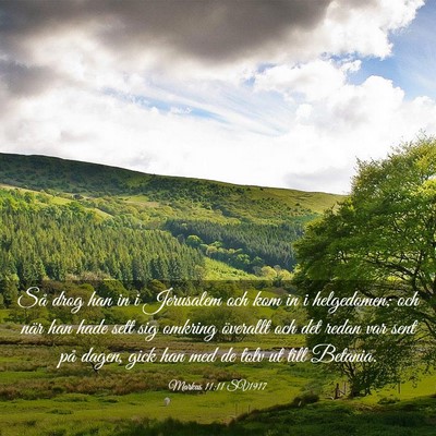 Picture 03 - Markus 11:11 SV1917 - Så drog han in i Jerusalem och kom in i - Bible Verse Picture