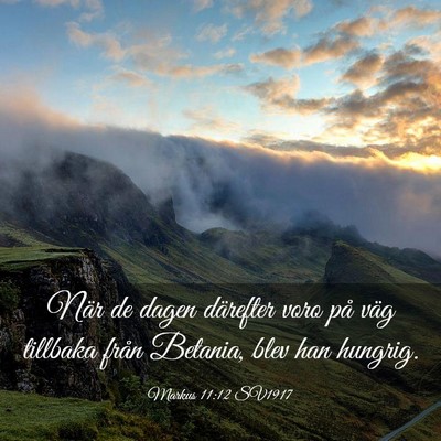 Picture 03 - Markus 11:12 SV1917 - När de dagen därefter voro på väg tillbaka - Bible Verse Picture