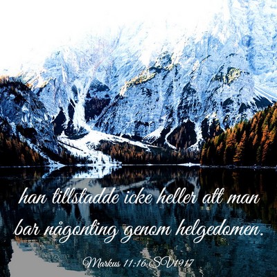 Picture 03 - Markus 11:16 SV1917 - han tillstadde icke heller att man bar någonting - Bible Verse Picture