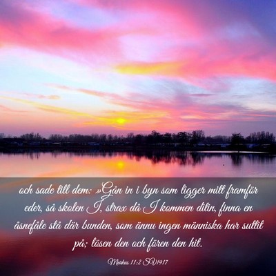 Picture 03 - Markus 11:2 SV1917 - och sade till dem: »Gån in i byn som ligger - Bible Verse Picture