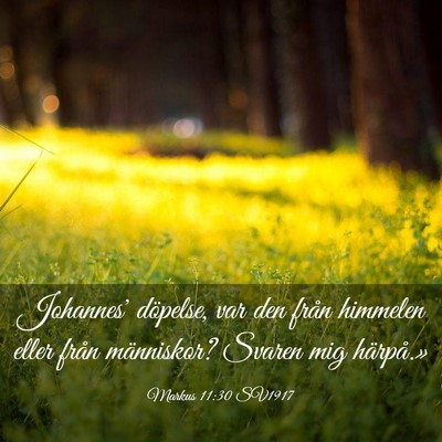 Picture 03 - Markus 11:30 SV1917 - Johannes' döpelse, var den från himmelen eller - Bible Verse Picture