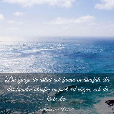 Picture 03 - Markus 11:4 SV1917 - Då gingo de åstad och funno en åsnefåle stå - Bible Verse Picture