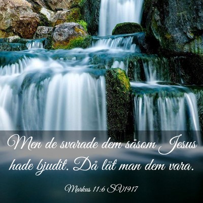 Picture 03 - Markus 11:6 SV1917 - Men de svarade dem såsom Jesus hade bjudit. Då - Bible Verse Picture