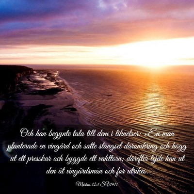 Picture 03 - Markus 12:1 SV1917 - Och han begynte tala till dem i liknelser: »En - Bible Verse Picture