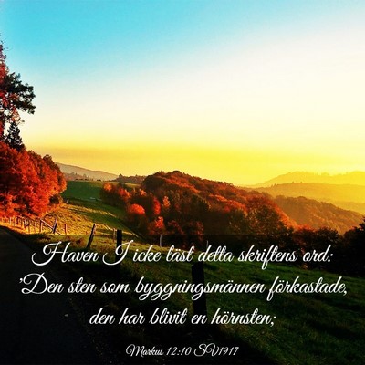 Picture 03 - Markus 12:10 SV1917 - Haven I icke läst detta skriftens ord: 'Den sten - Bible Verse Picture