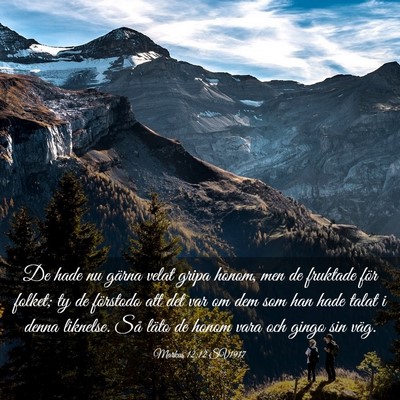 Picture 03 - Markus 12:12 SV1917 - De hade nu gärna velat gripa honom, men de - Bible Verse Picture