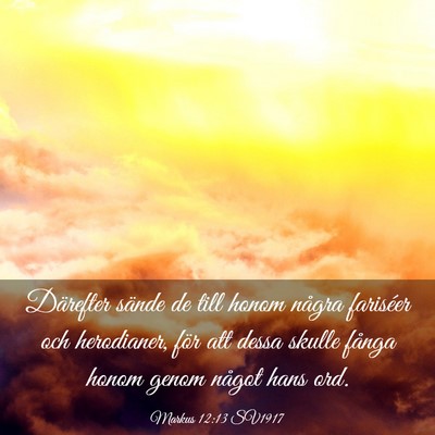 Picture 03 - Markus 12:13 SV1917 - Därefter sände de till honom några fariséer - Bible Verse Picture