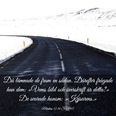 Picture 03 - Markus 12:16 SV1917 - Då lämnade de fram en sådan. Därefter - Bible Verse Picture
