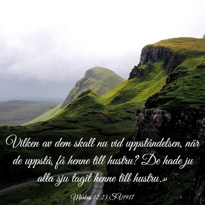 Picture 03 - Markus 12:23 SV1917 - Vilken av dem skall nu vid uppståndelsen, när - Bible Verse Picture