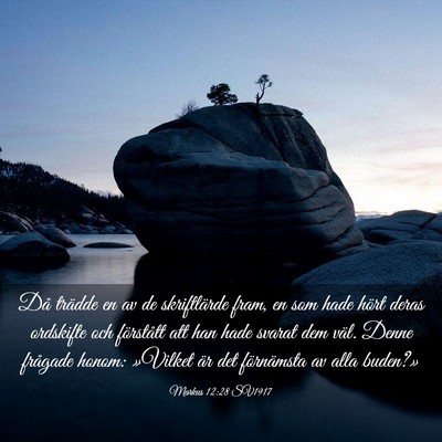 Picture 03 - Markus 12:28 SV1917 - Då trädde en av de skriftlärde fram, en som - Bible Verse Picture