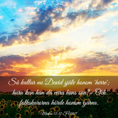 Picture 03 - Markus 12:37 SV1917 - Så kallar nu David själv honom 'herre'; huru - Bible Verse Picture