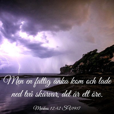 Picture 03 - Markus 12:42 SV1917 - Men en fattig änka kom och lade ned två - Bible Verse Picture