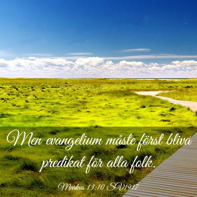Picture 03 - Markus 13:10 SV1917 - Men evangelium måste först bliva predikat för - Bible Verse Picture