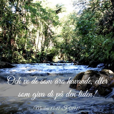 Picture 03 - Markus 13:17 SV1917 - Och ve de som äro havande, eller som giva di på - Bible Verse Picture