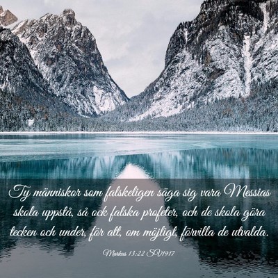 Picture 03 - Markus 13:22 SV1917 - Ty människor som falskeligen säga sig vara - Bible Verse Picture