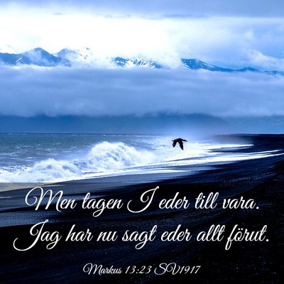 Picture 03 - Markus 13:23 SV1917 - Men tagen I eder till vara. Jag har nu sagt eder - Bible Verse Picture