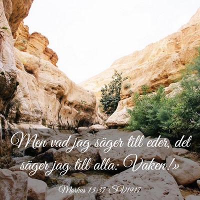 Picture 03 - Markus 13:37 SV1917 - Men vad jag säger till eder, det säger jag till - Bible Verse Picture