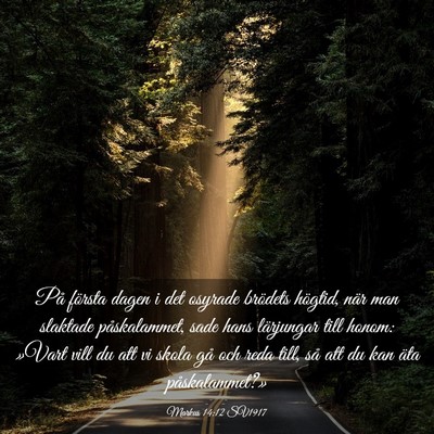 Picture 03 - Markus 14:12 SV1917 - På första dagen i det osyrade brödets högtid, - Bible Verse Picture