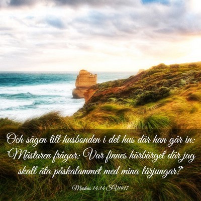 Picture 03 - Markus 14:14 SV1917 - Och sägen till husbonden i det hus där han går - Bible Verse Picture
