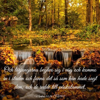 Picture 03 - Markus 14:16 SV1917 - Och lärjungarna begåvo sig i väg och kommo in - Bible Verse Picture
