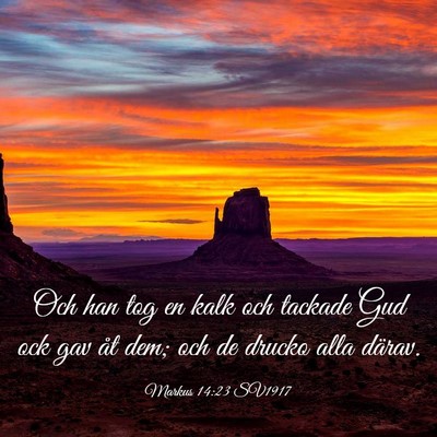 Picture 03 - Markus 14:23 SV1917 - Och han tog en kalk och tackade Gud ock gav åt - Bible Verse Picture
