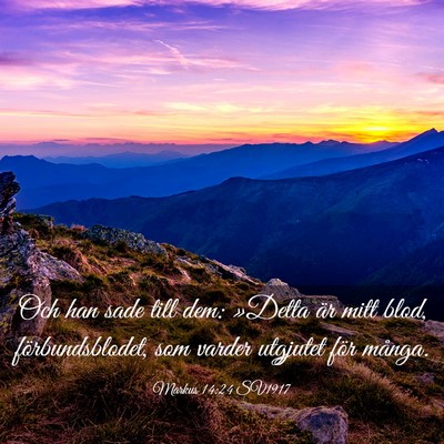 Picture 03 - Markus 14:24 SV1917 - Och han sade till dem: »Detta är mitt blod, - Bible Verse Picture