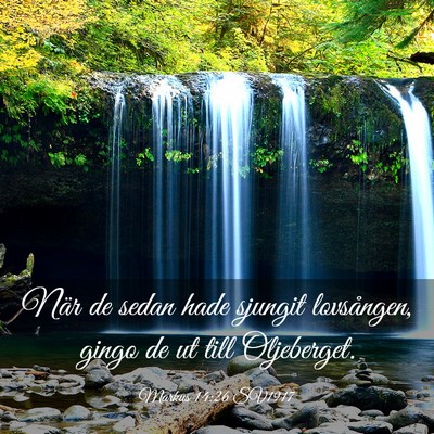 Picture 03 - Markus 14:26 SV1917 - När de sedan hade sjungit lovsången, gingo de - Bible Verse Picture