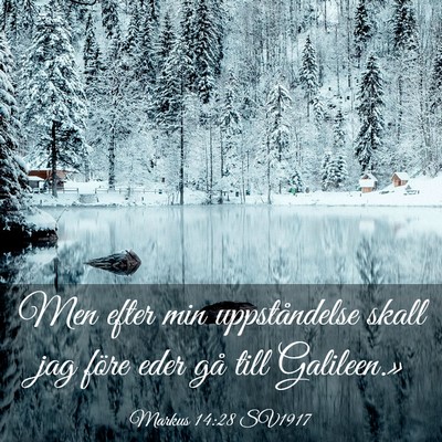 Picture 03 - Markus 14:28 SV1917 - Men efter min uppståndelse skall jag före eder - Bible Verse Picture