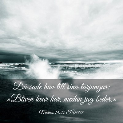 Picture 03 - Markus 14:32 SV1917 - Då sade han till sina lärjungar: »Bliven kvar - Bible Verse Picture