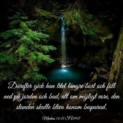 Picture 03 - Markus 14:35 SV1917 - Därefter gick han litet längre bort och föll - Bible Verse Picture