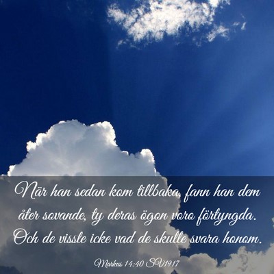 Picture 03 - Markus 14:40 SV1917 - När han sedan kom tillbaka, fann han dem åter - Bible Verse Picture