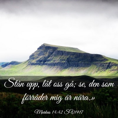 Picture 03 - Markus 14:42 SV1917 - Stån upp, låt oss gå; se, den som förråder - Bible Verse Picture
