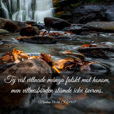 Picture 03 - Markus 14:56 SV1917 - Ty väl vittnade många falskt mot honom, men - Bible Verse Picture