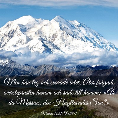 Picture 03 - Markus 14:61 SV1917 - Men han teg och svarade intet. Åter frågade - Bible Verse Picture