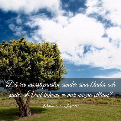 Picture 03 - Markus 14:63 SV1917 - Då rev översteprästen sönder sina kläder och - Bible Verse Picture