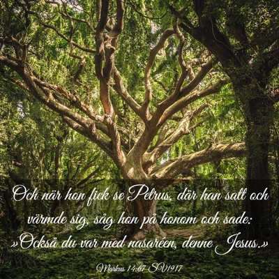 Picture 03 - Markus 14:67 SV1917 - Och när hon fick se Petrus, där han satt och - Bible Verse Picture