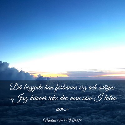 Picture 03 - Markus 14:71 SV1917 - Då begynte han förbanna sig och svärja: »Jag - Bible Verse Picture