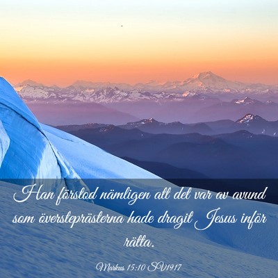 Picture 03 - Markus 15:10 SV1917 - Han förstod nämligen att det var av avund som - Bible Verse Picture