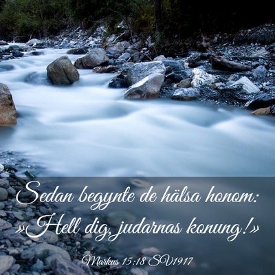 Picture 03 - Markus 15:18 SV1917 - Sedan begynte de hälsa honom: »Hell dig, - Bible Verse Picture